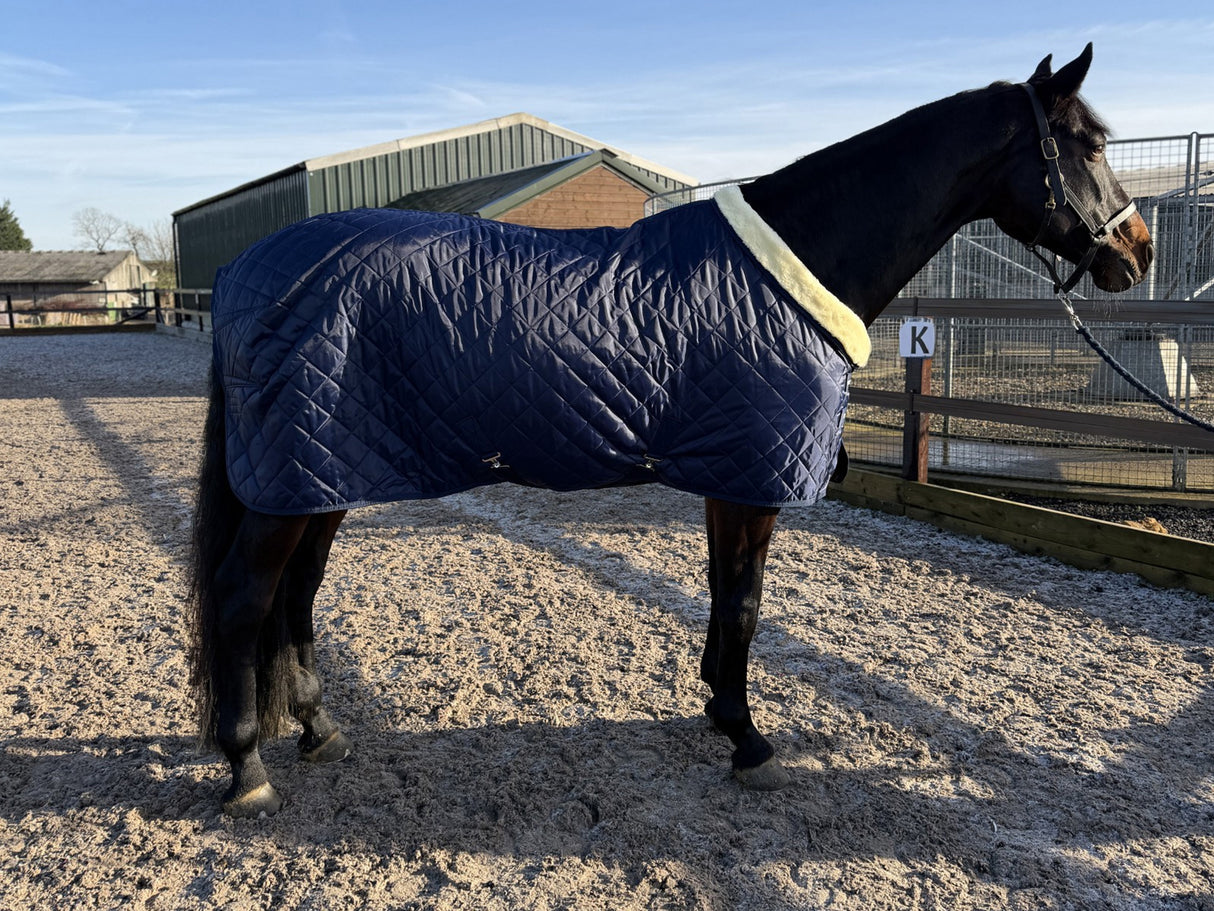 Masterclip 100G Stable Rug - Diamond Quilted Ideal Post Clip - Lightweight & Insulating