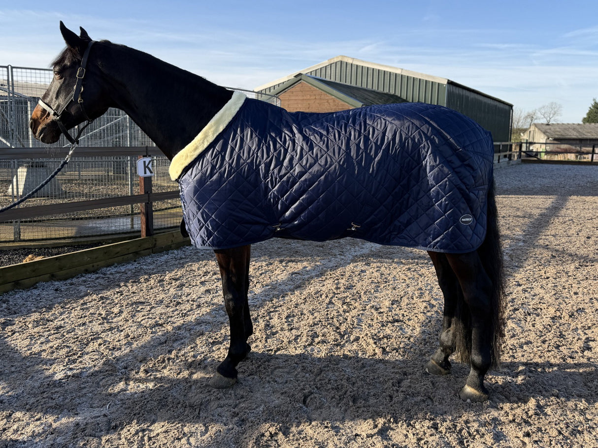 Masterclip 100G Stable Rug - Diamond Quilted Ideal Post Clip - Lightweight & Insulating