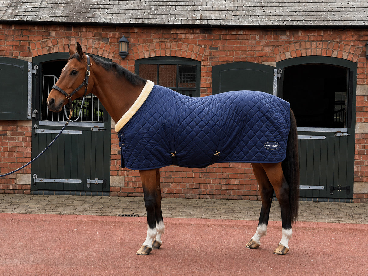 Masterclip 100G Stable Rug - Diamond Quilted Ideal Post Clip - Lightweight & Insulating