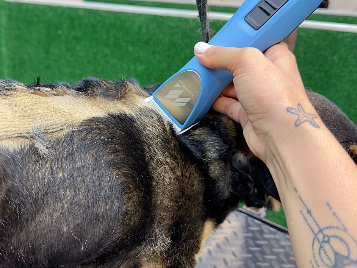 West Highland Terrier Dog Clipper Set - Cordless MAX