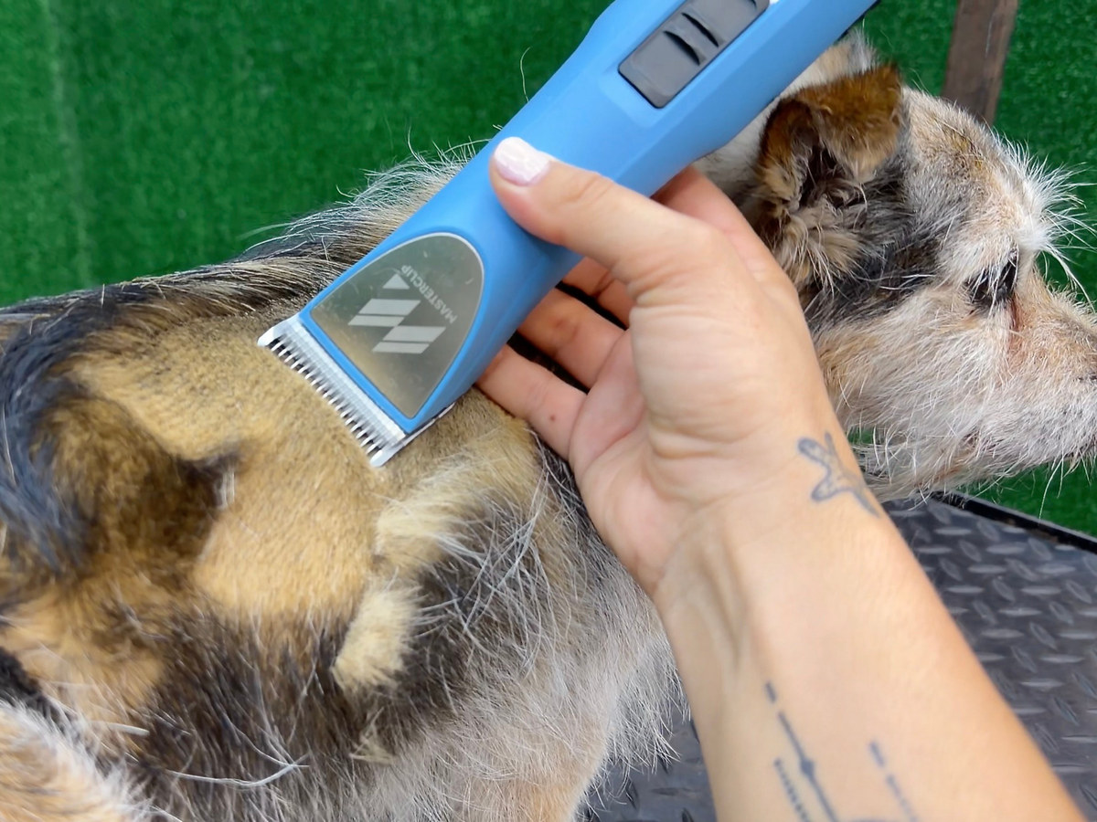 West Highland Terrier Dog Clipper Set - Cordless MAX