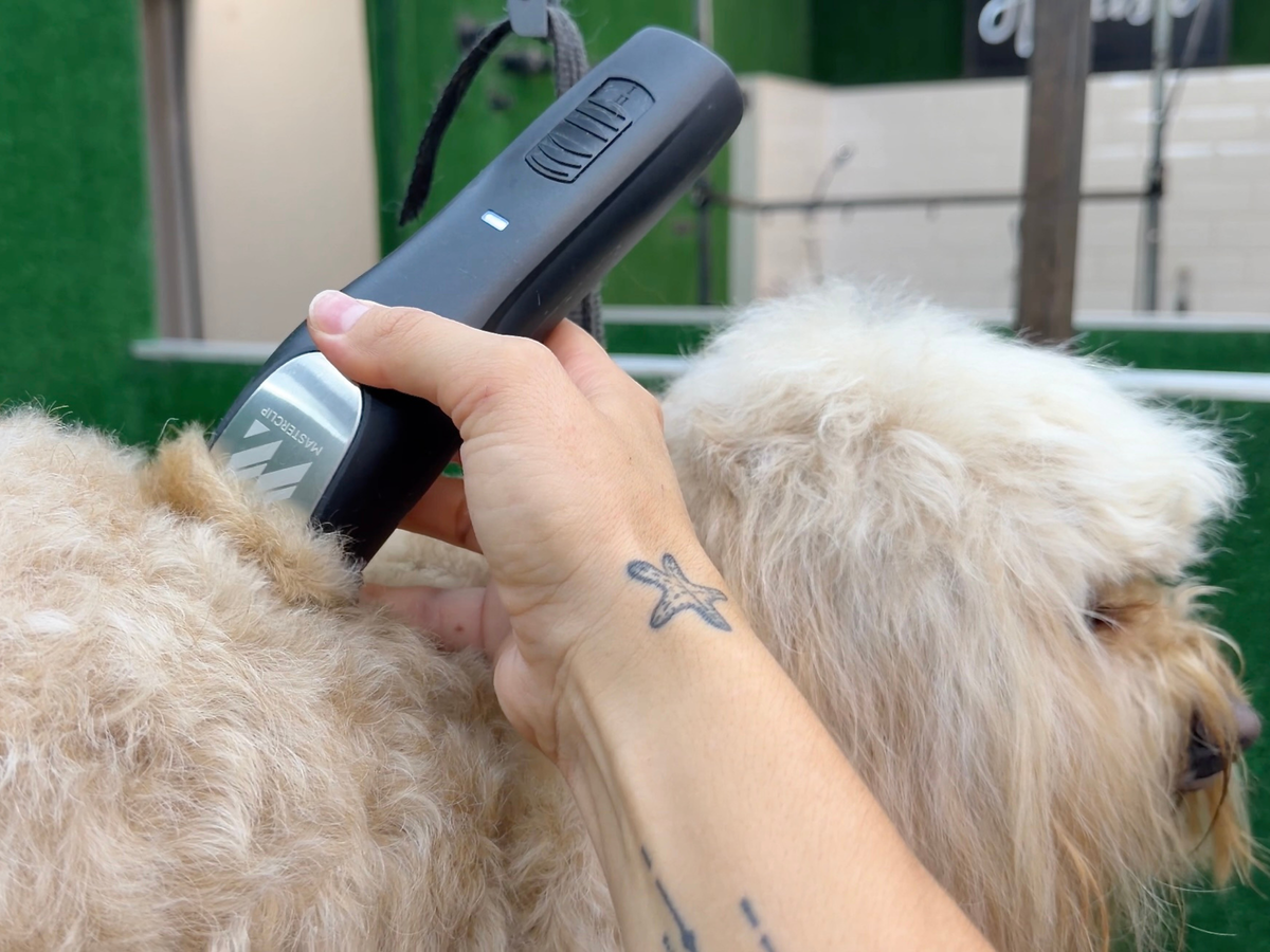 Havanese Dog Clipper Set - Cordless PRO
