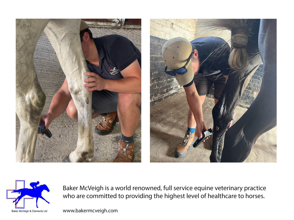 Blue Cordless Veterinary Showmate II Trimmer