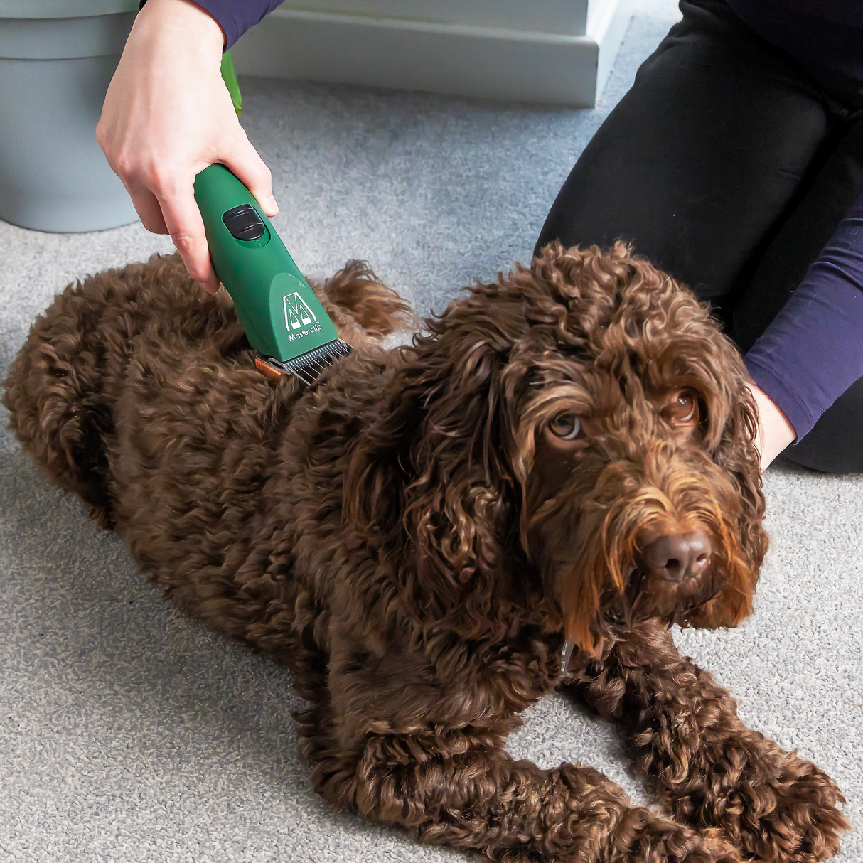 Professional Cordless Groomer Starter Pack - MD Roamer Clipper & 10 Blade with 4 Metal Comb Guides & Showmate II Trimmer, Slicker Brush and Pack of 4 Scissors. FREE Comb & Andis Cool Care