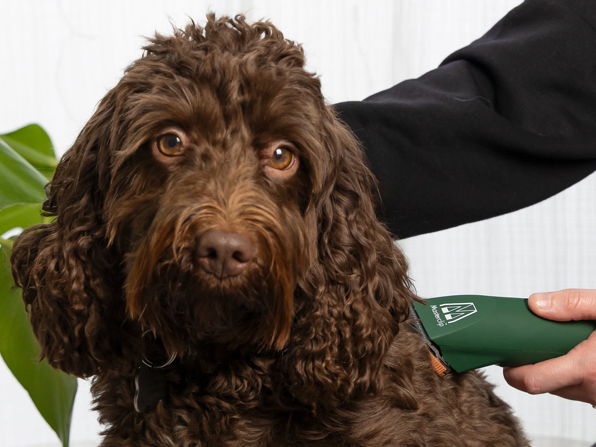 Cocker Spaniel Dog Clipper Set - Cordless