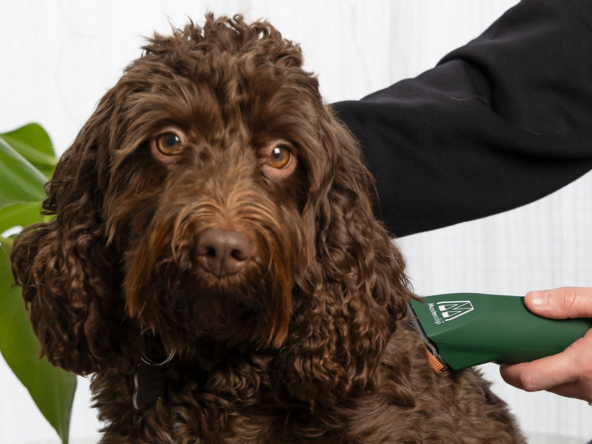 Ex-Demo MD Roamer Cordless Dog Clipper With 4 Comb Guides & 1 x 10 Blade