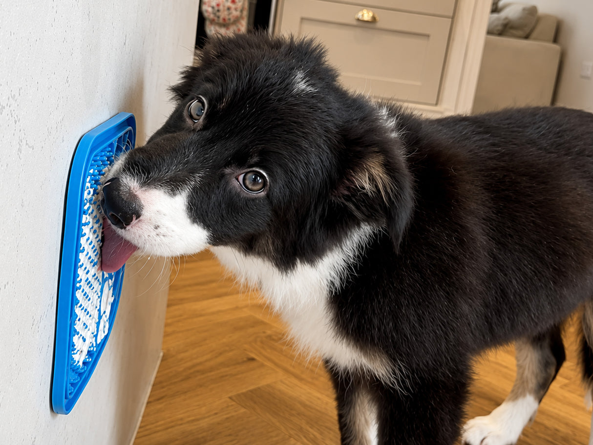 Small Anxiety Reducing Slow Feeding Lick Mat - Blue