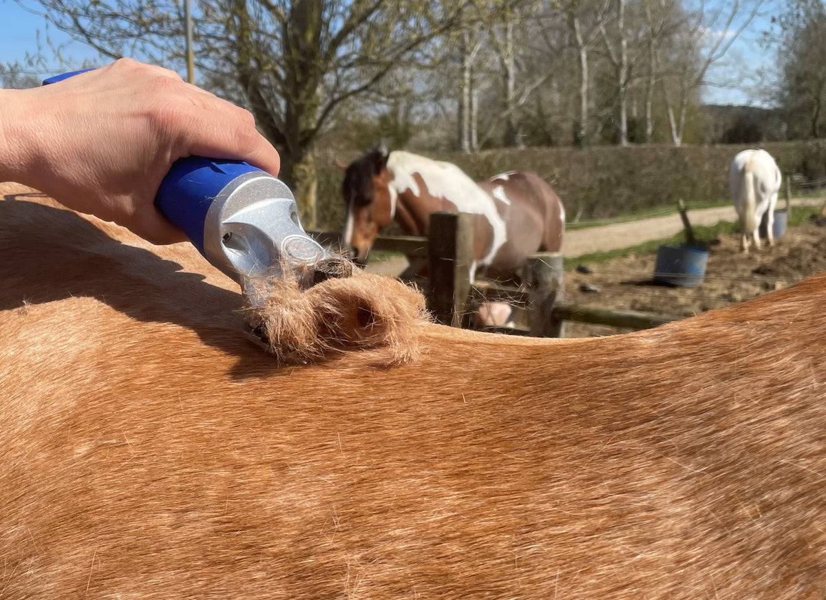Warehouse Damaged Case - Hunter Lightweight 200W Professional Horse Clipper - Blue (NEW)