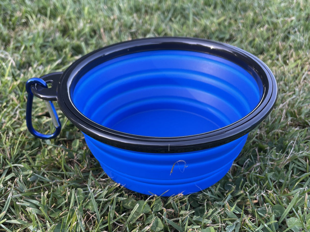Collapsible Folding Travel Water Bowl with Carabiner Clip - Blue