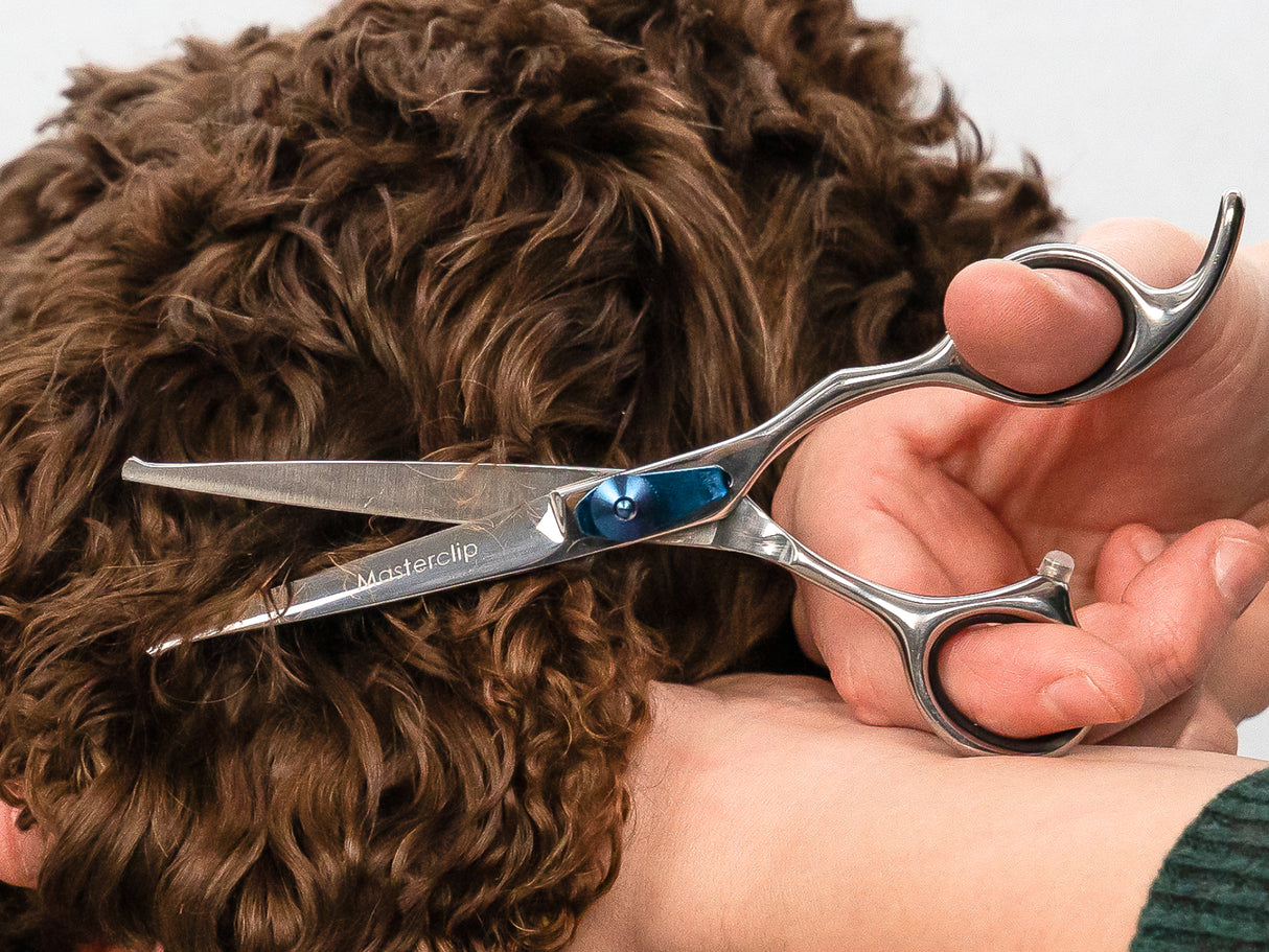 Cockapoo ESSENTIAL Scissor Pack - Safety Bull Nose & Thinning Scissor Combo