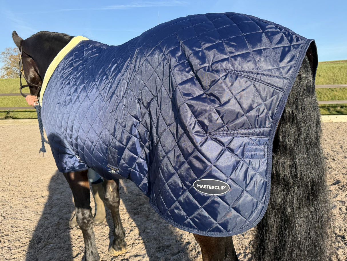 Masterclip 100G Stable Rug - Diamond Quilted Ideal Post Clip - Lightweight & Insulating