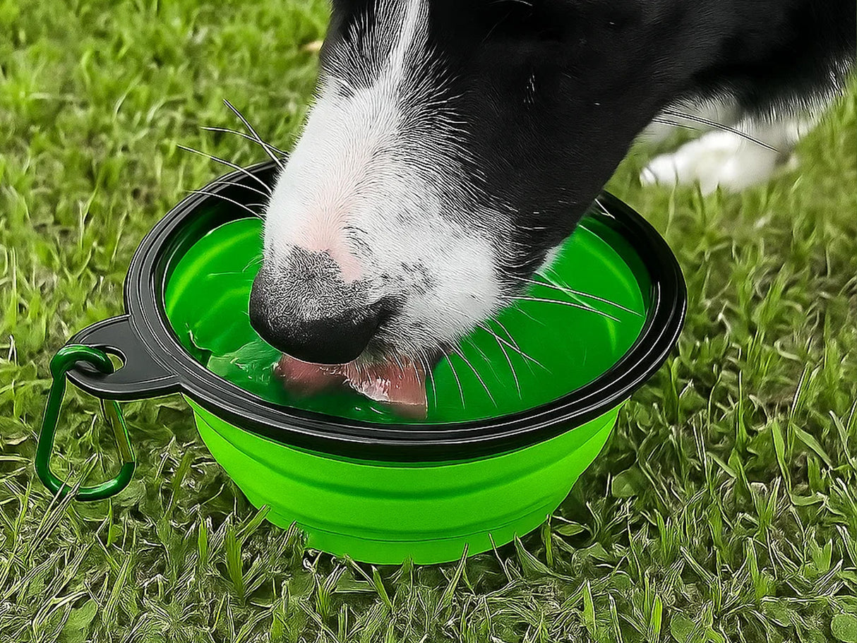 Collapsible Folding Travel Water Bowl with Carabiner Clip - Green