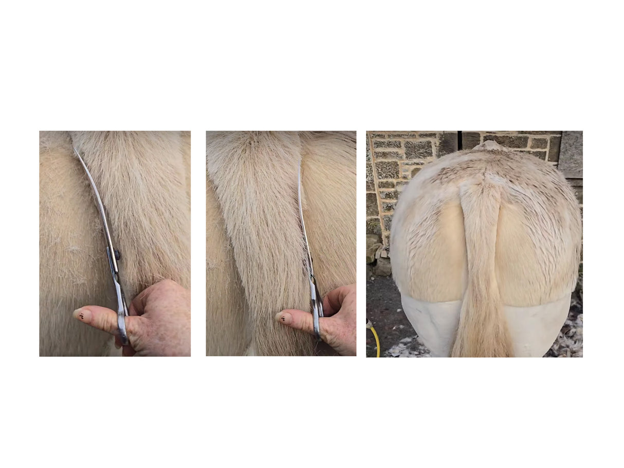 Curved Scissors - Ideal for Tails