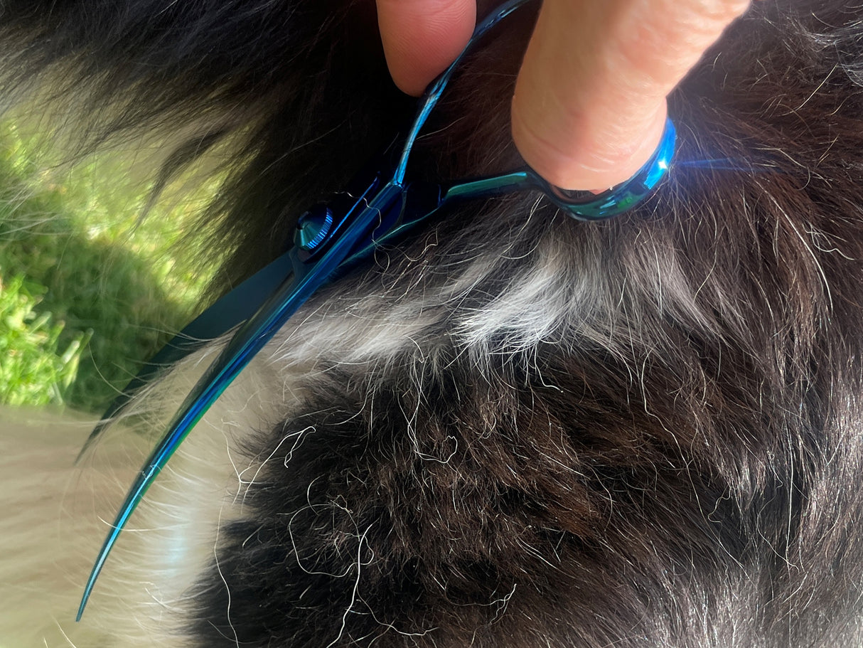 TOPAZ - 7.5” Premium High Gloss Curved Dog Grooming Scissors / Shears | Right Handed