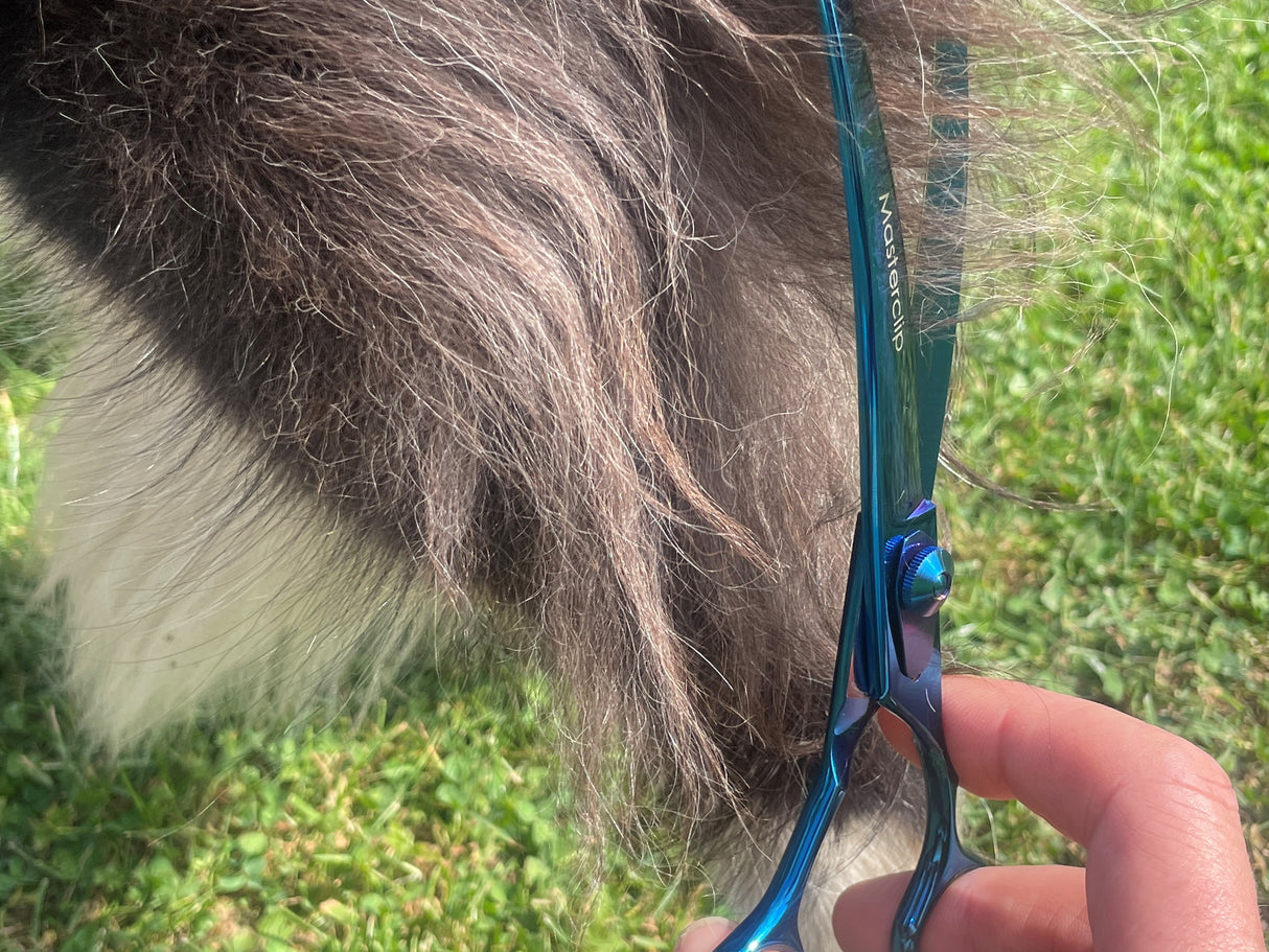 TOPAZ - 7.5” Premium High Gloss Curved Dog Grooming Scissors / Shears | Right Handed