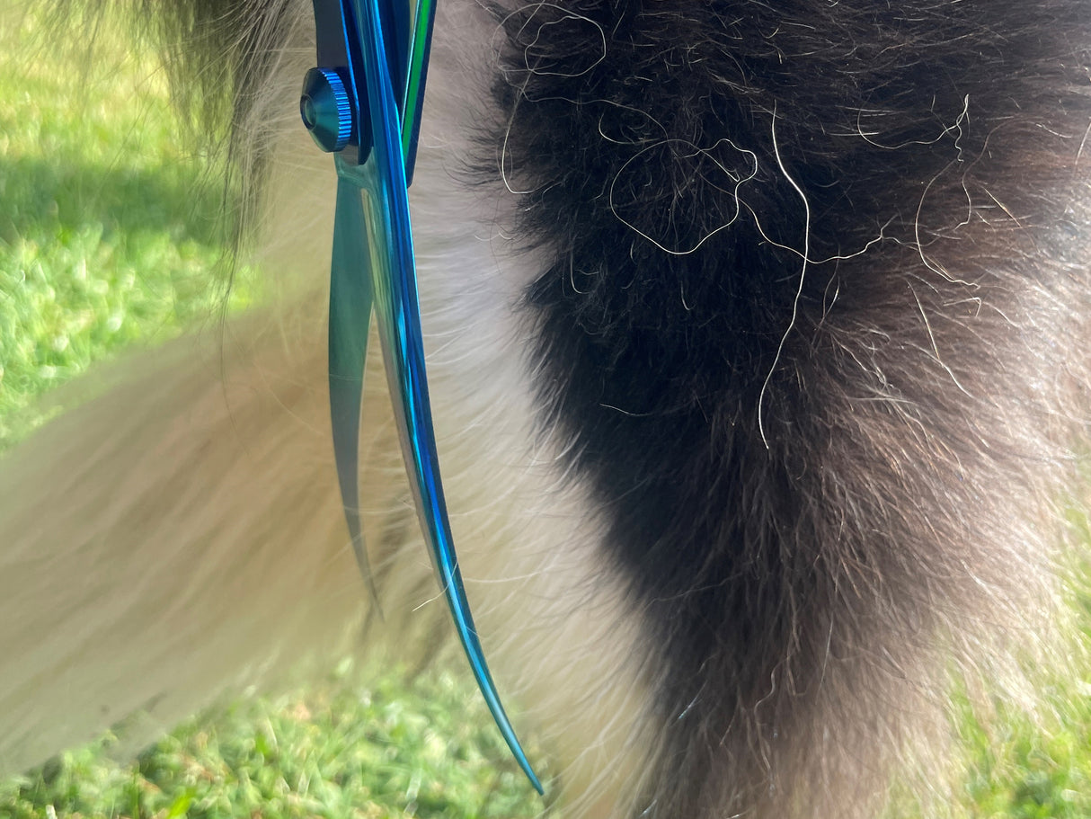 TOPAZ - 7.5” Premium High Gloss Curved Dog Grooming Scissors / Shears | Right Handed