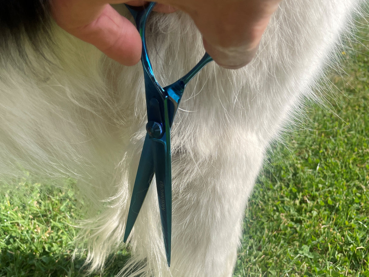 TOPAZ - 7.5” Premium High Gloss Blue Finishing Dog Grooming Scissors Shears | Right Handed