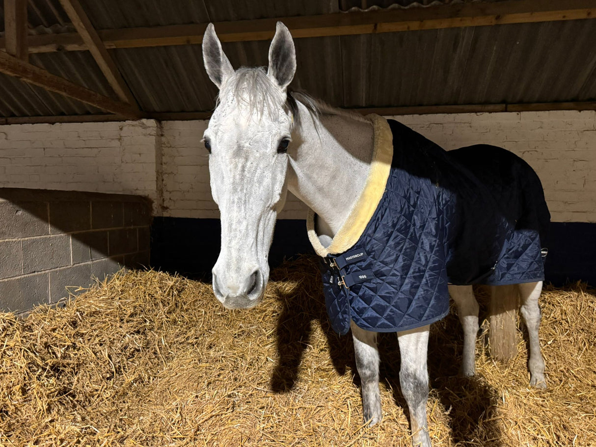 Masterclip 100G Stable Rug - Diamond Quilted Ideal Post Clip - Lightweight & Insulating