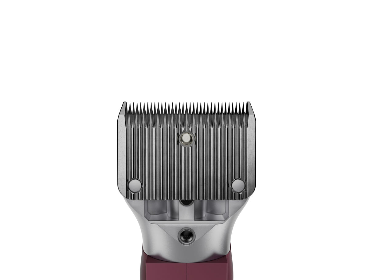 HD Roamer & Blue Showmate II Combo