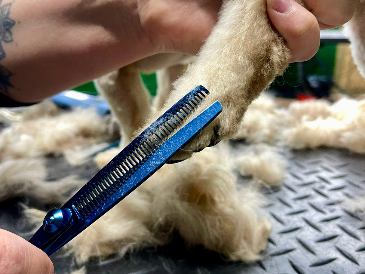 TOPAZ - 6.5” Premium High Gloss Blue Thinning Dog Grooming Scissors Shears | Right Handed