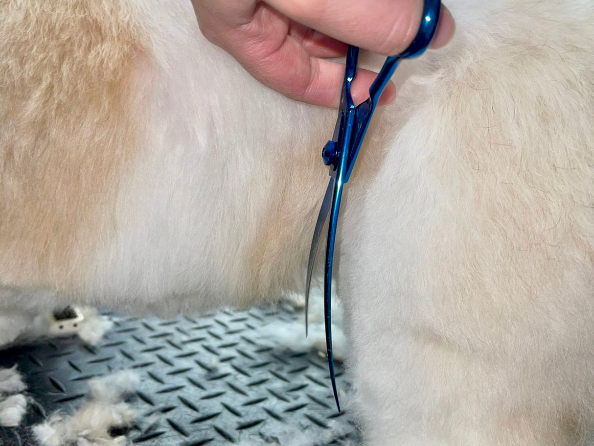 TOPAZ - 7.5” Premium High Gloss Curved Dog Grooming Scissors / Shears | Right Handed