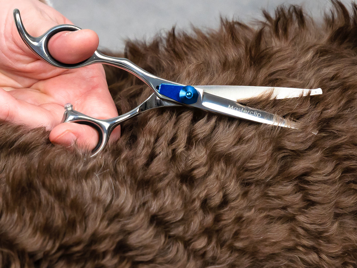 ESSENTIALS - 6" Bull Nose Safety Scissors | Left Handed