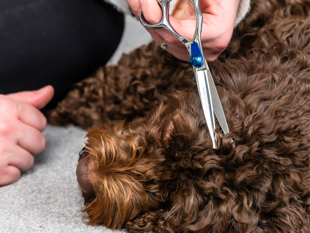 ESSENTIALS - 6" Bull Nose Safety Scissors | Left Handed