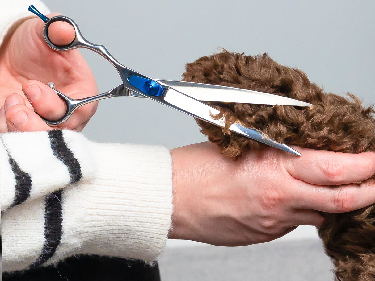 ESSENTIALS - 7.5" Curved Scissors | Left Handed