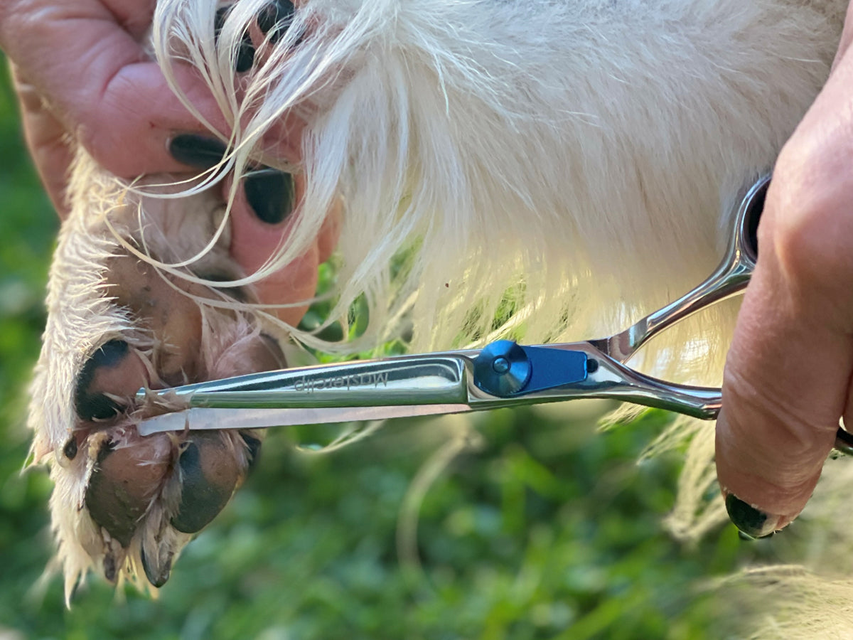 Home Grooming Starter Pack - Pedigree Pro Clipper & 10 Blade with 4 Metal Comb Guides, Slicker Brush, & Bull Nose Scissor. FREE Metal Comb & Clipper Oil