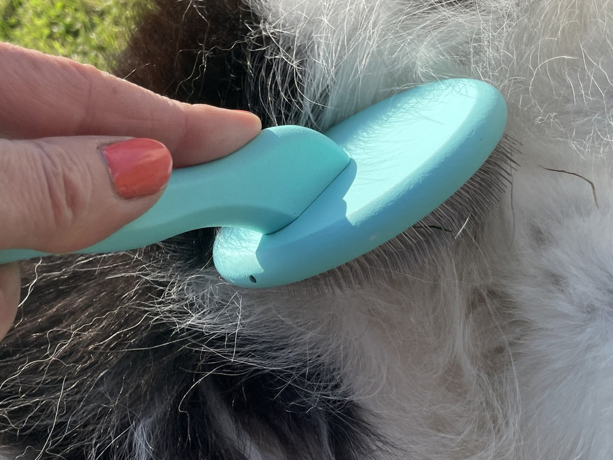 Border Collie Super Slicker Brush with Flexi-Pins