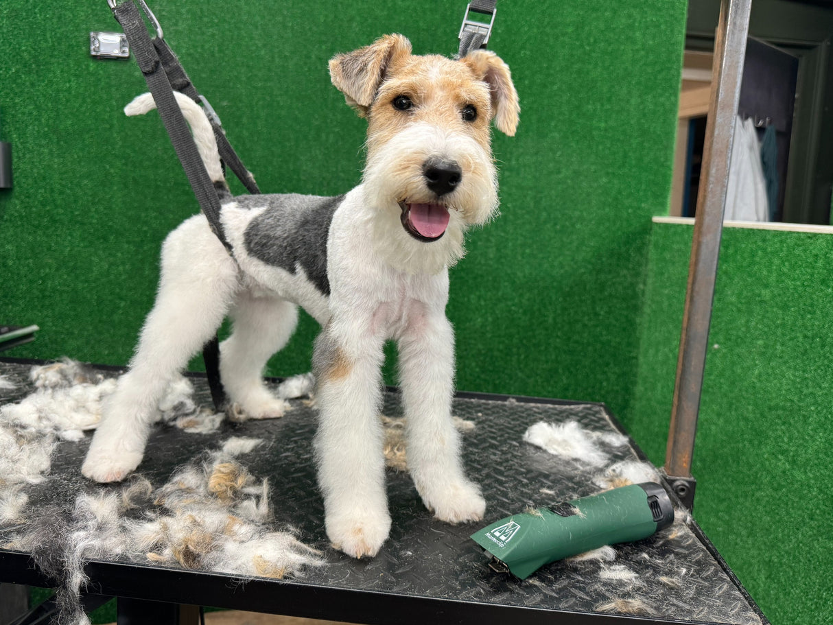MD Roamer Cordless A5 Dog Clipper - with Number 10 Blade