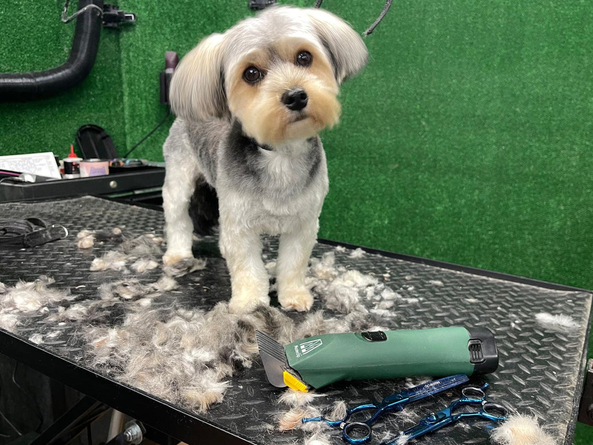 MD Roamer Cordless Dog Clipper With 4 Metal Comb Guides & 1 x 10 Blade