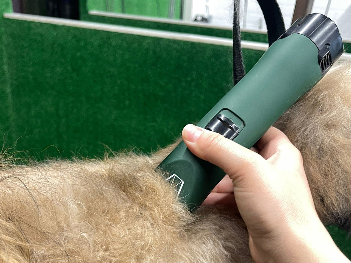 Pyrenean Shepherd Dog Clipper Set - Cordless