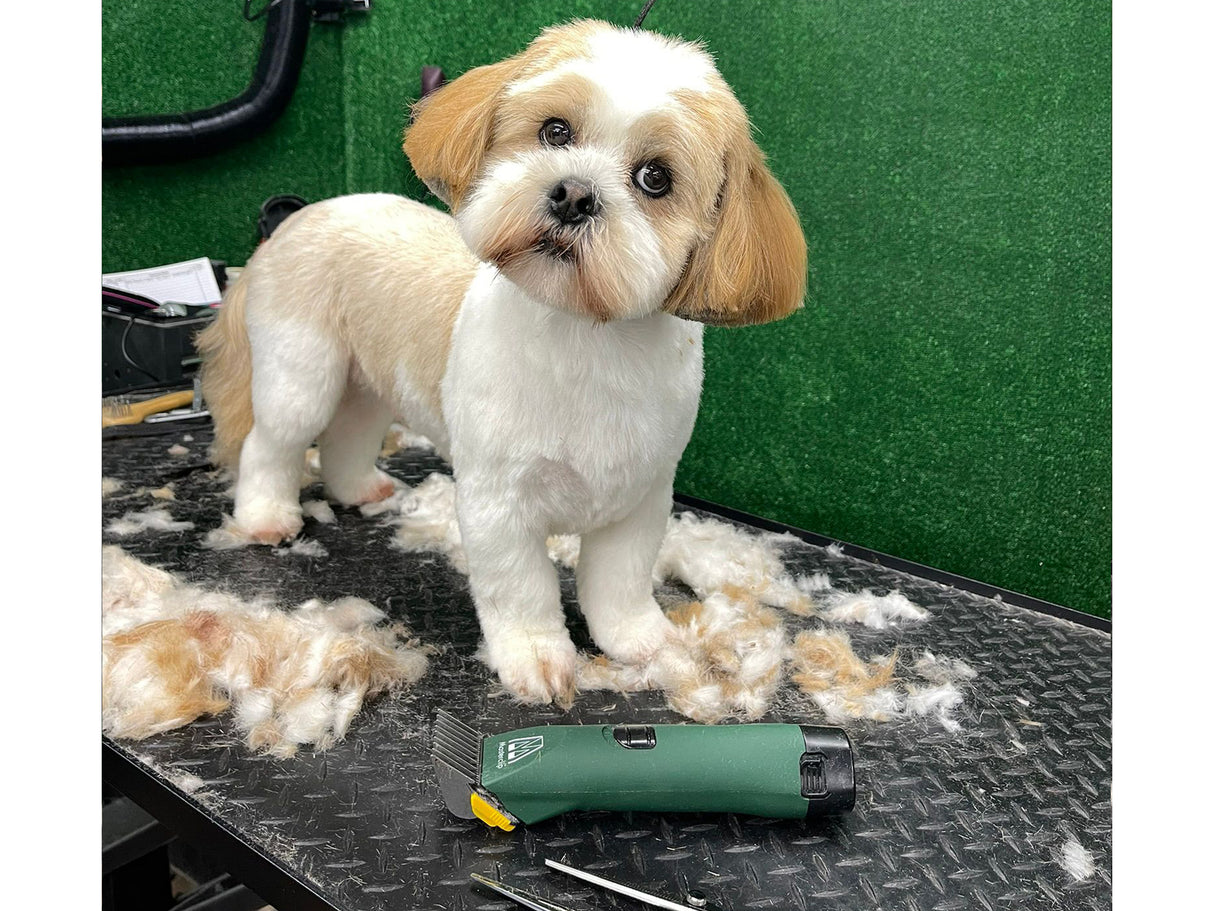 Havanese Dog Clipper Set - Cordless