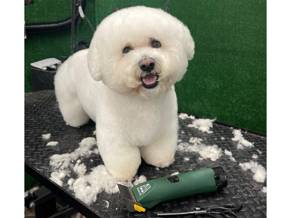 Bichon Poo Dog Clipper Set - Cordless