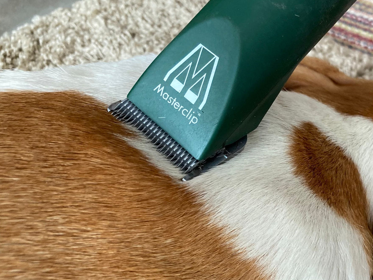 English Bulldog Dog Clipper Set - Cordless