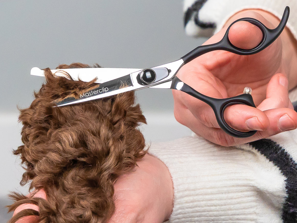 ONYX - 6” Premium Bull Nose Dog Grooming Scissors Shears | Right Handed