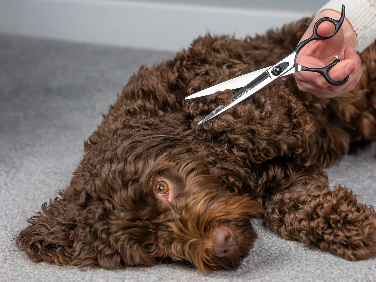 ONYX - 7.5” Premium Finishing Dog Grooming Scissors / Shears | Right Handed