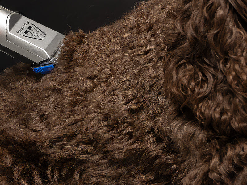 Sproodle Dog Clipper Set - Mains