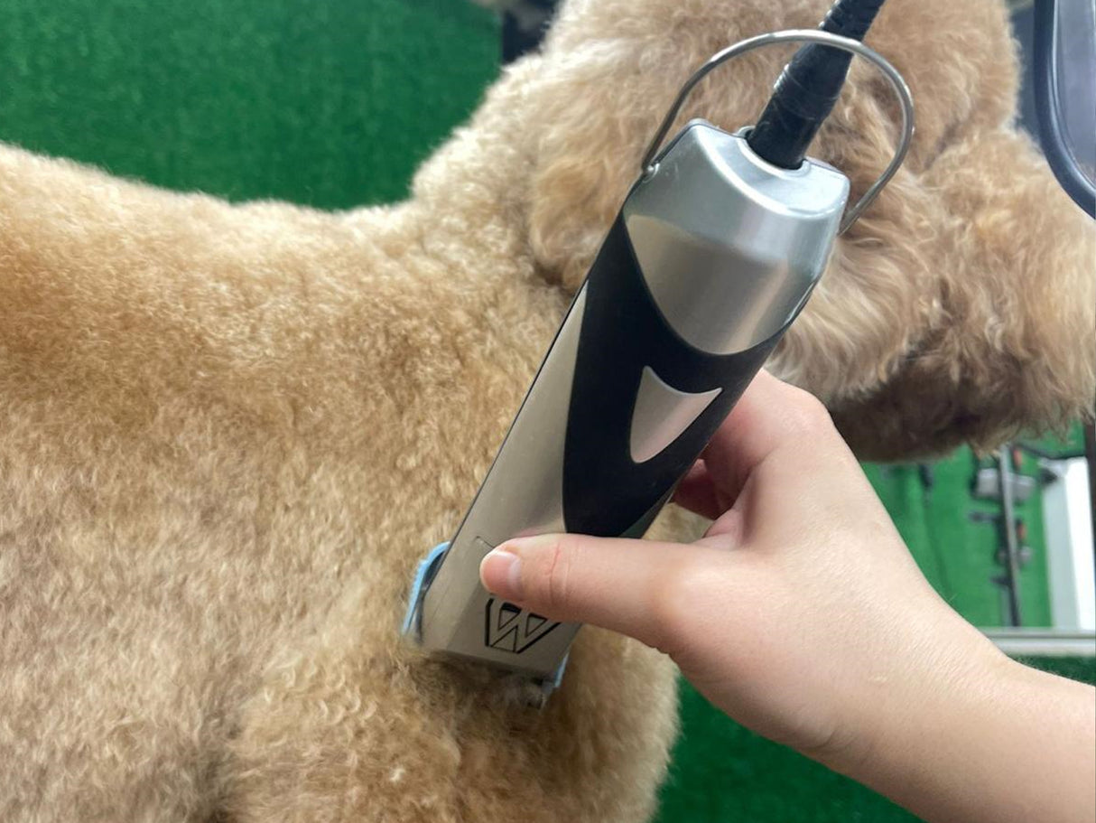 Cockapoo Dog Clippers Set - Mains