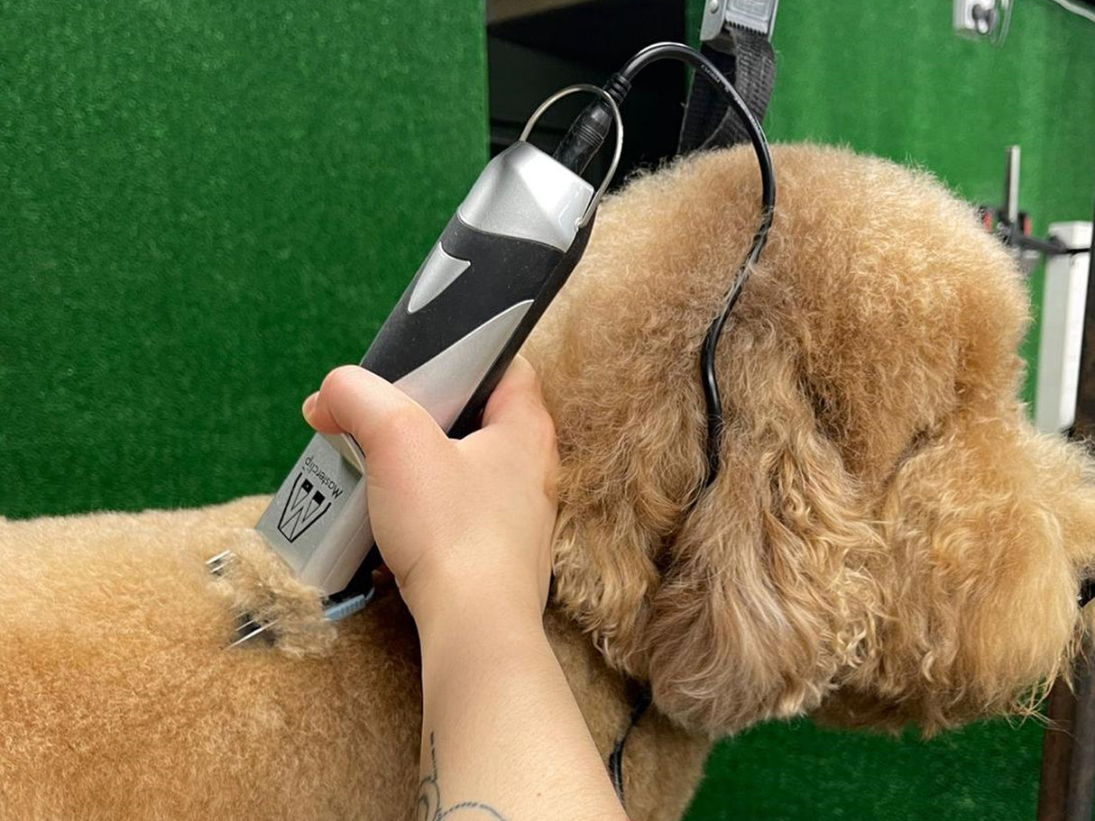 Cockapoo Dog Clippers Set - Mains
