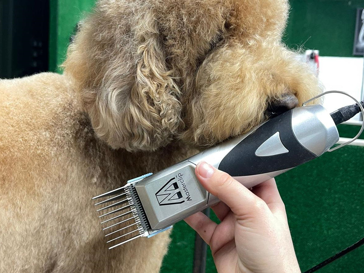 Cockapoo Dog Clippers Set - Mains