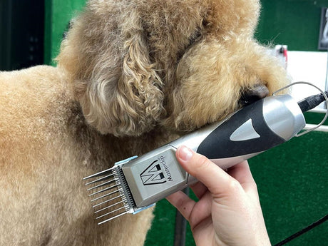 Cockapoo Dog Clippers Set - Mains