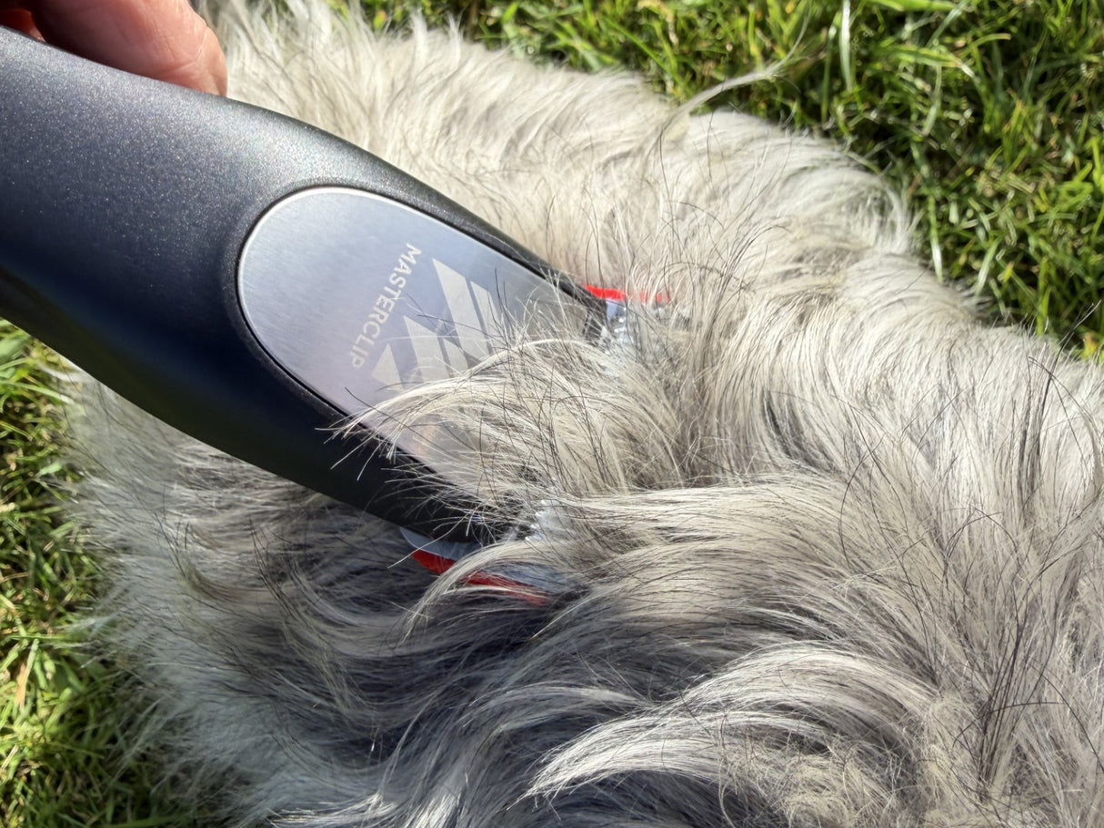 Cocker Spaniel Dog Clipper Set - Cordless PRO with 8 Comb Guides