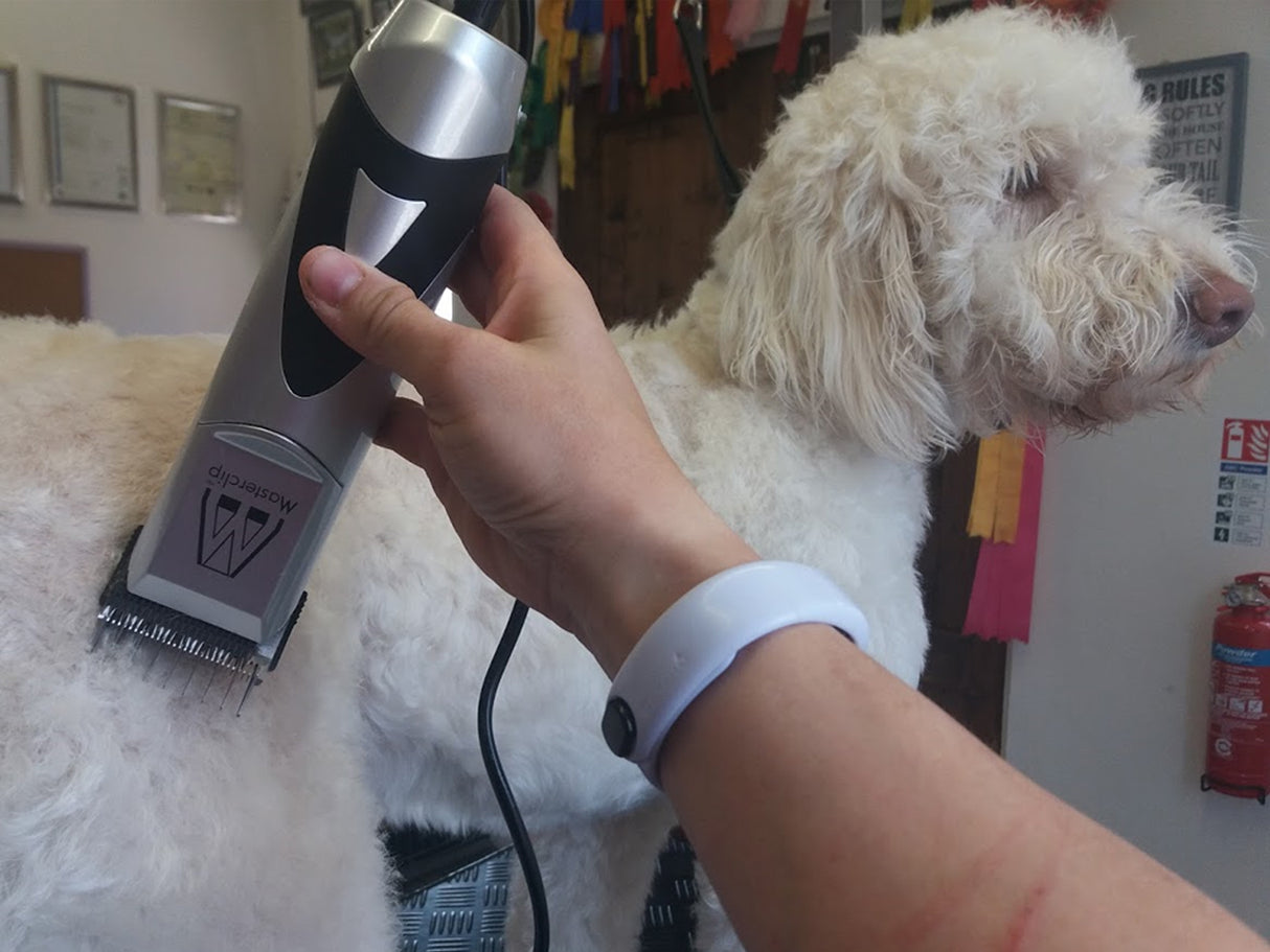 Ultimate Dog Clippers Set | Mains Powered Pedigree Pro with 9 Metal Comb Guides & 1 x 10 Blade