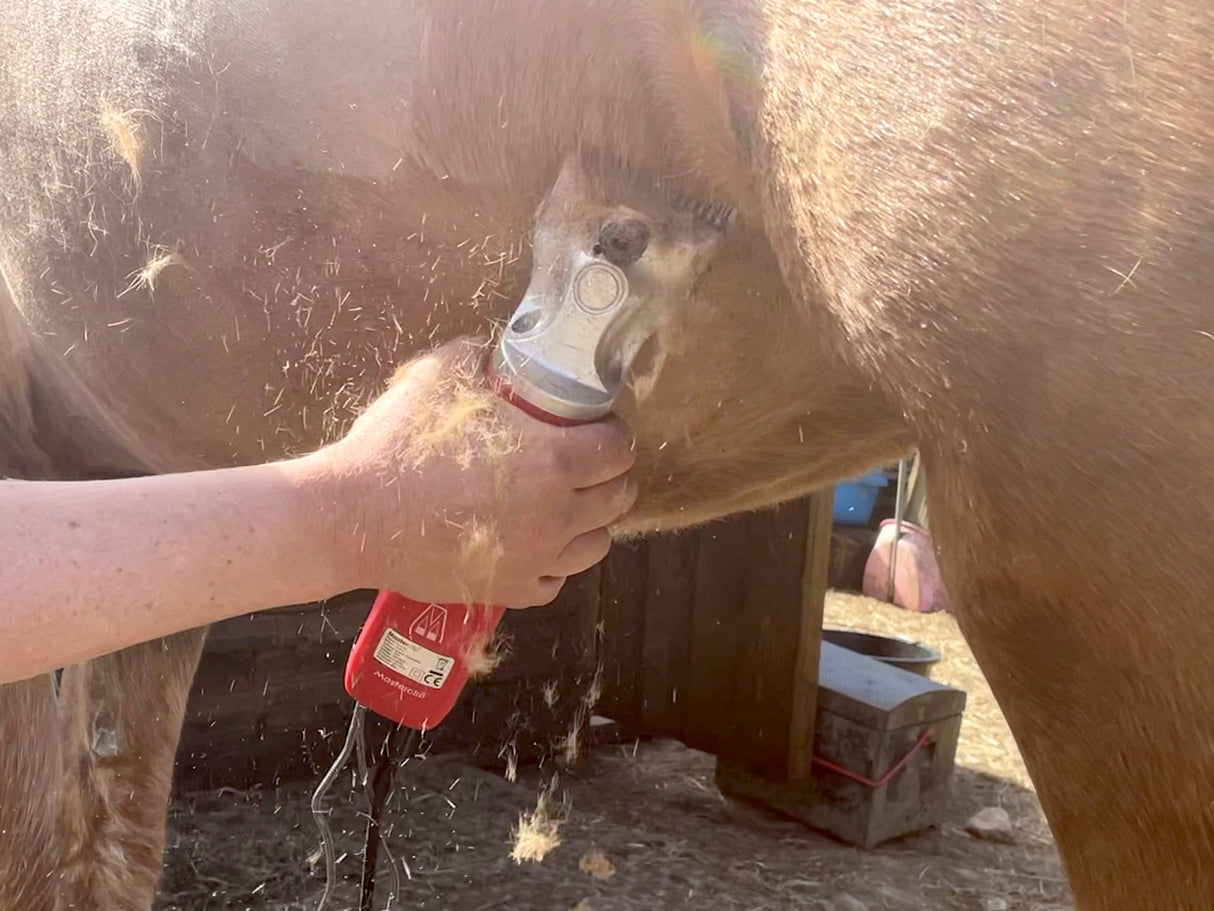 Ex-Demo Masterclip Hunter - Lightweight 200W Professional Horse Clipper RED