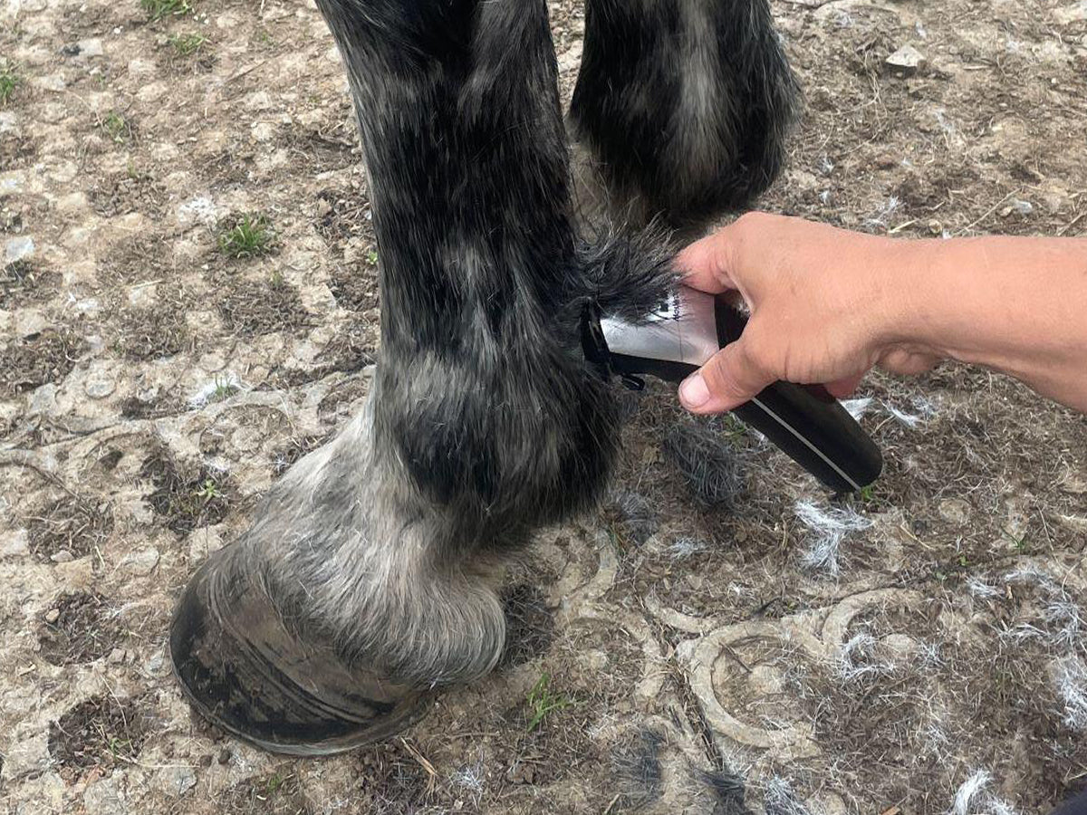 Showmate II Cordless Horse Trimmer - Silver