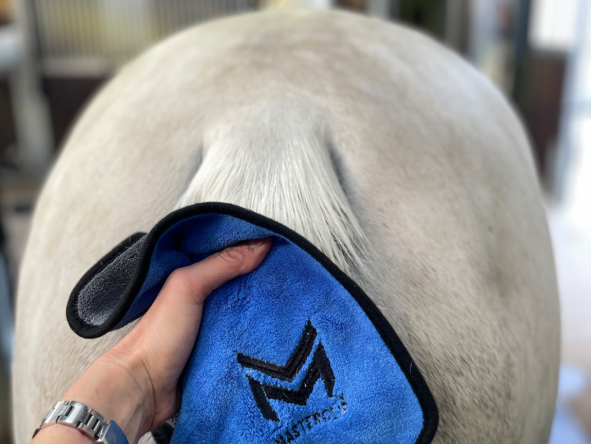 Must Have SMALL Microfibre Cloth