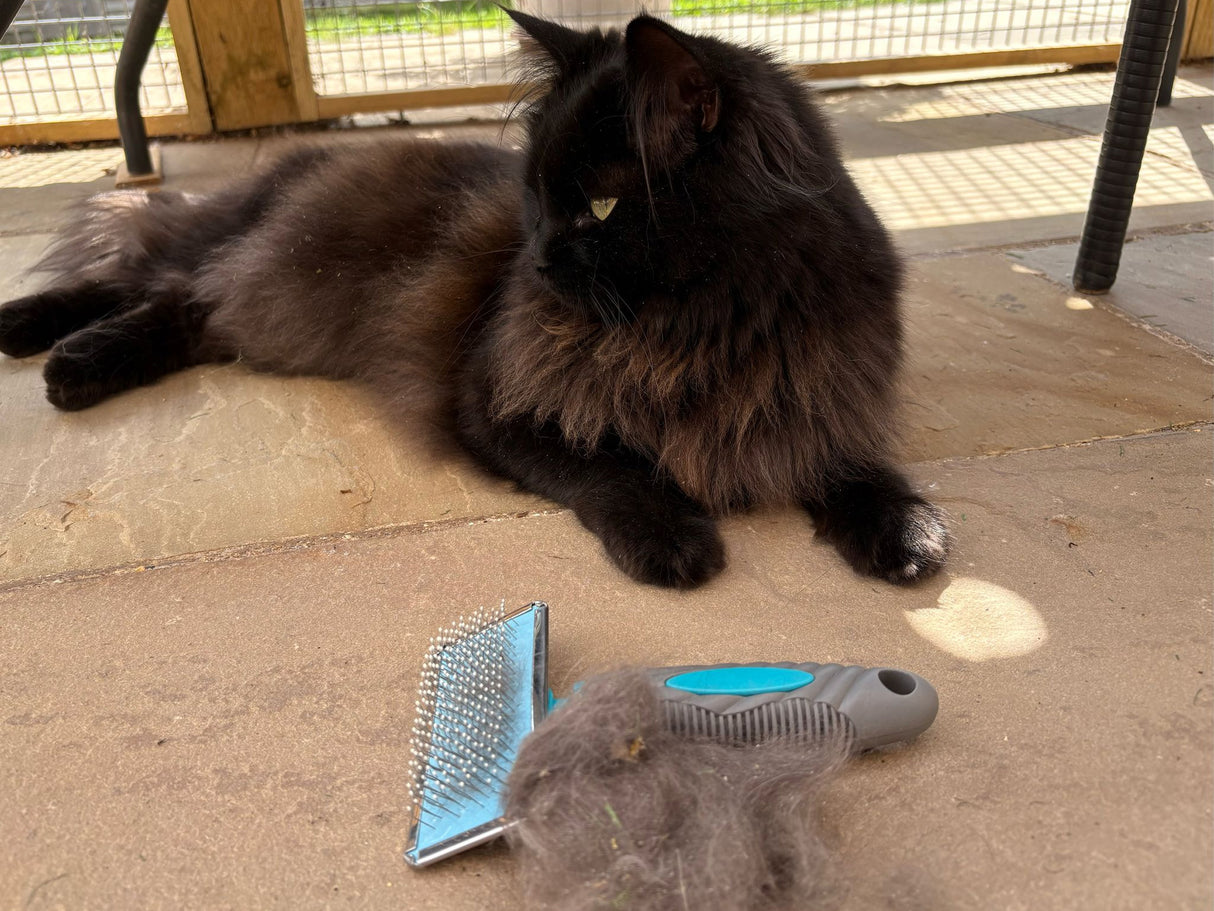 Small Flat Head Rectangular Slicker Brush