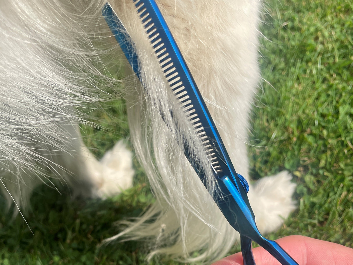 TOPAZ - 6.5” Premium High Gloss Blue Thinning Dog Grooming Scissors Shears | Right Handed
